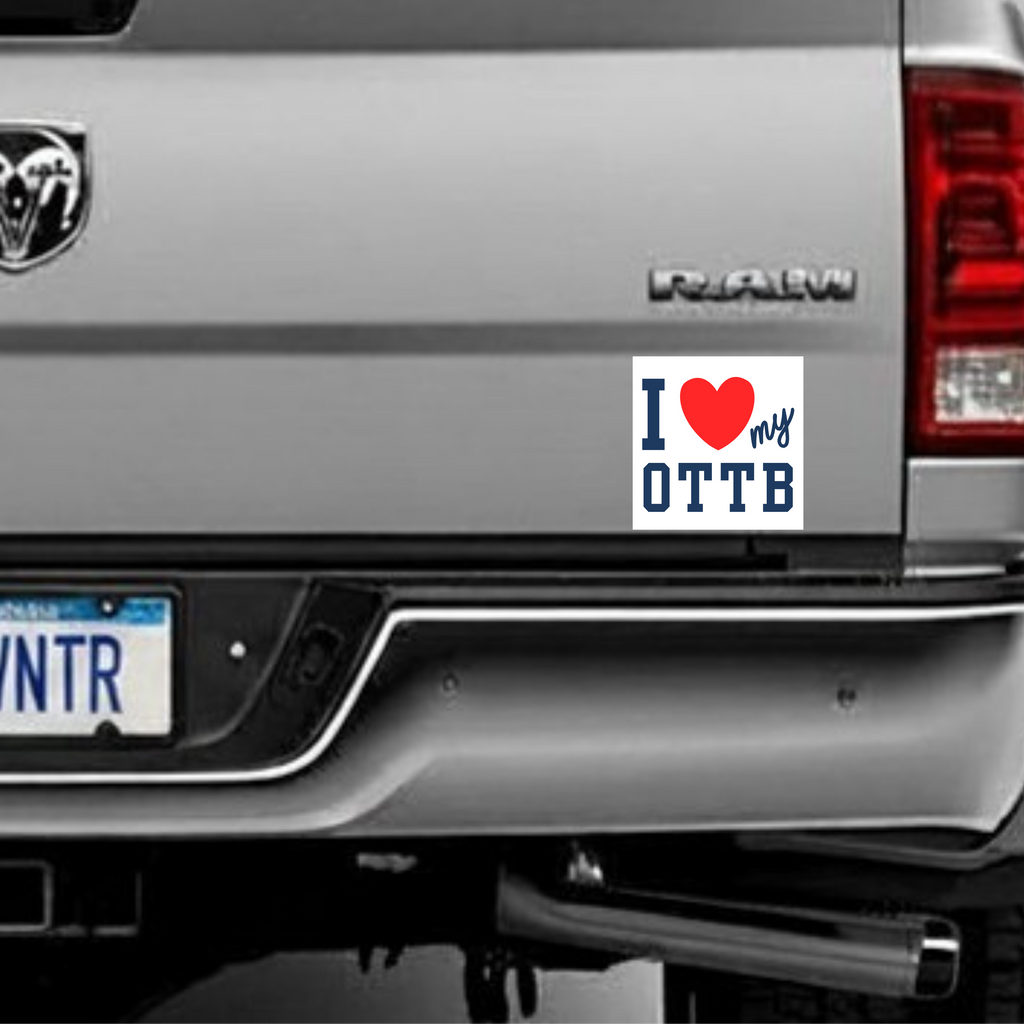 I ¤ϸ�My Ottb Magnet 5'' × 5'' Rectangle