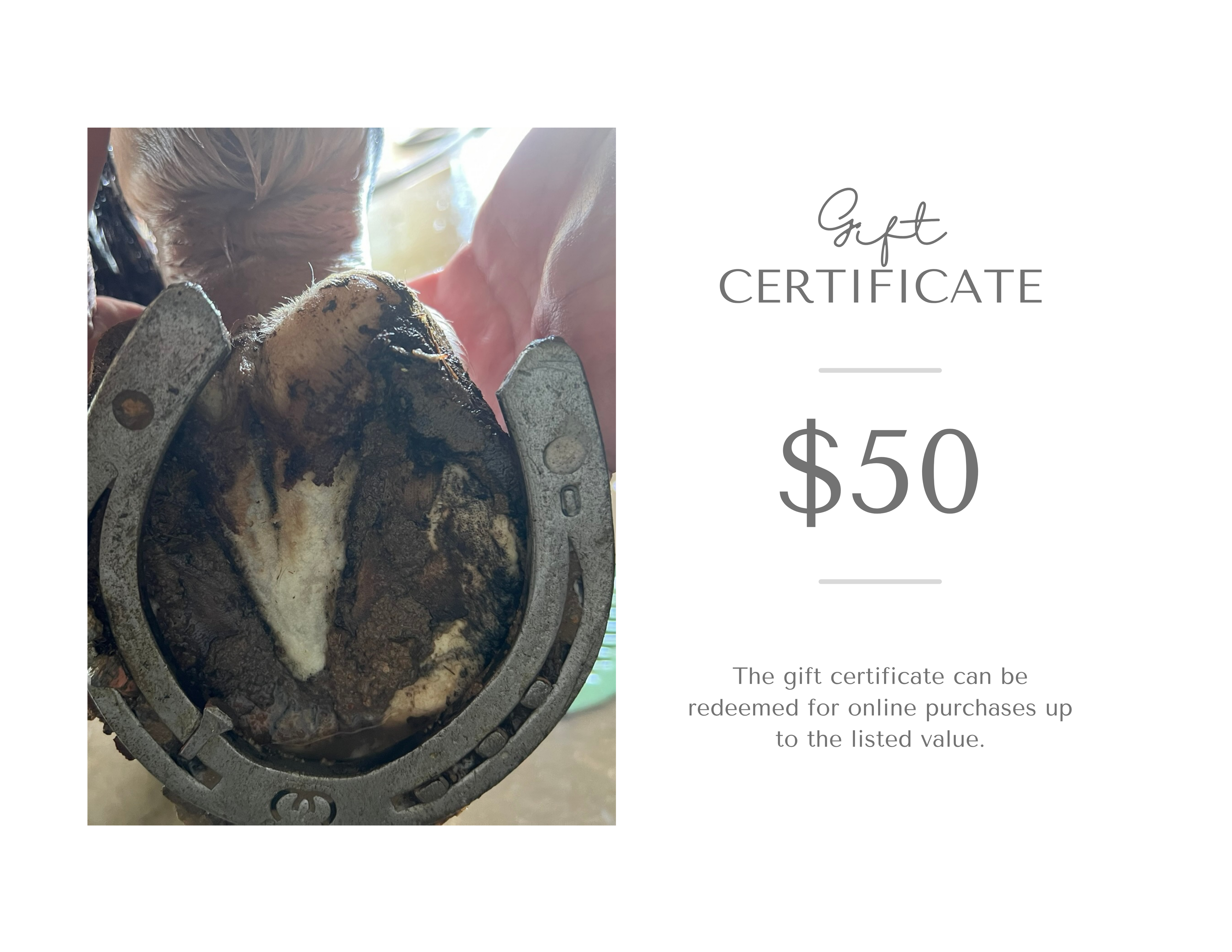 Gift certificate for $50 with a horseshoe containing a horse's tooth on a white background
