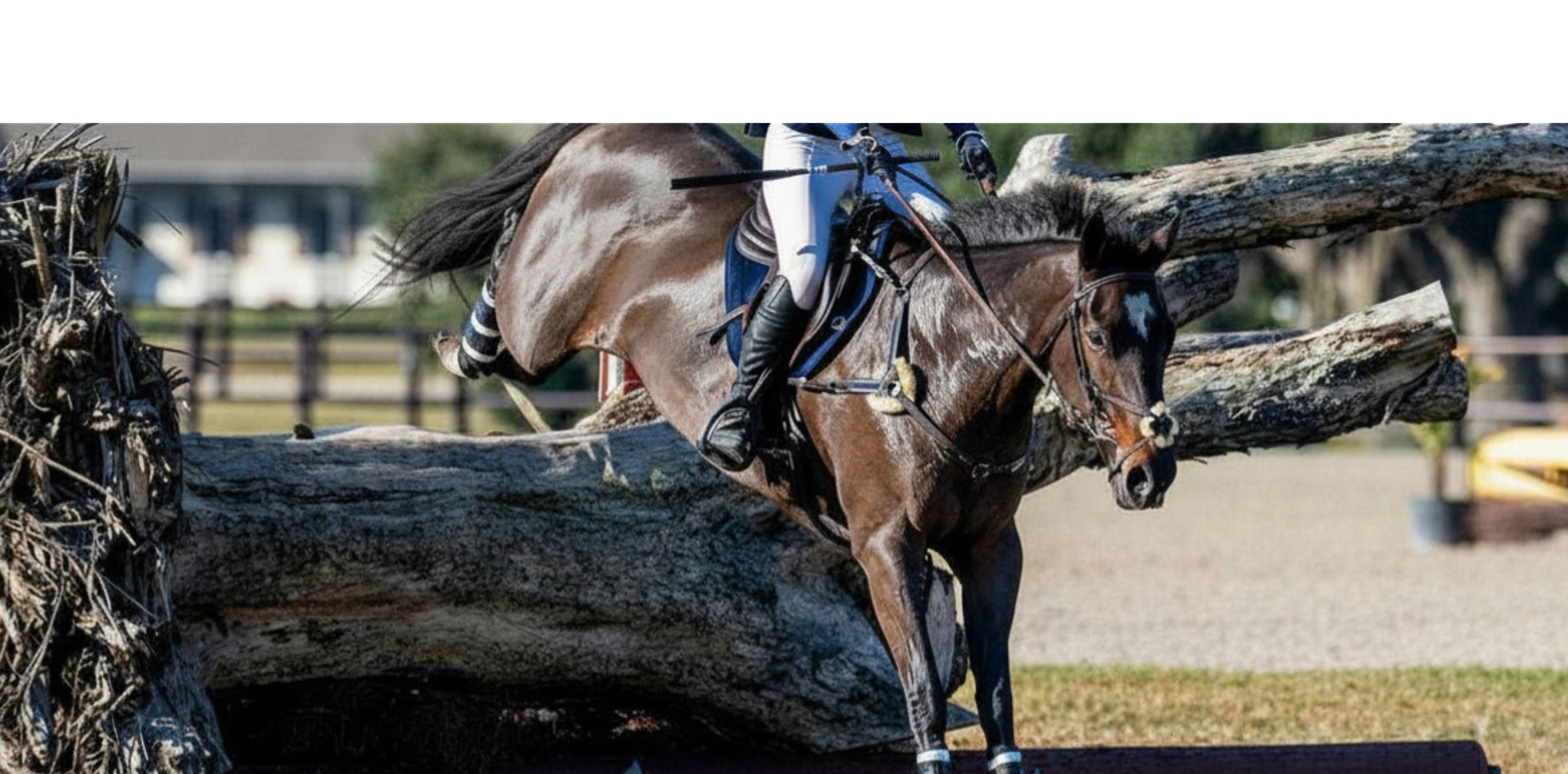 event rider and horse jumping over a large log into water
