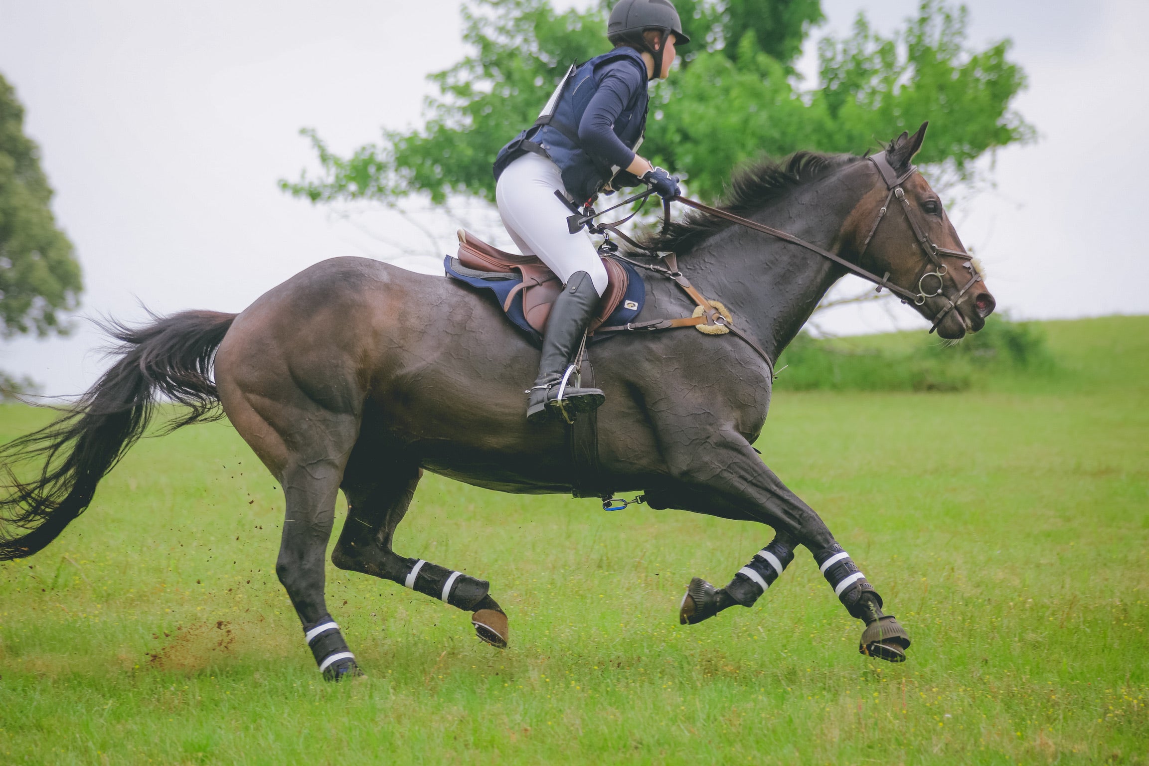 Equestrian eventer galloping cross country on a dark bay horse across open grass — In-Gate Goods & Apparel